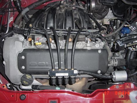 dsc00019.jpg dsc00019.jpg