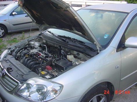 dsc01234.jpg dsc01234.jpg